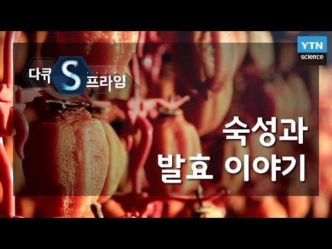 숙성과 발효이야기 [다큐S프라임] / YTN 사이언스