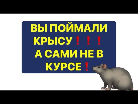 🔥😱 YOU CAUGHT A RAT❗️🔥 BUT YOU DON'T KNOW⁉️🔥😱#strunatarot #tarot#enemies #tarot