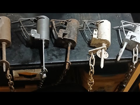 Real Talk Ep 34 - Dog Proof Traps ( Review of 5 Brands )