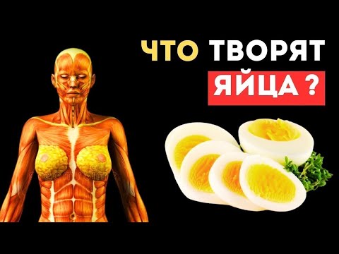 WHY DID THEY HIDE THIS... What do even 3 EGGS a day do to the body?