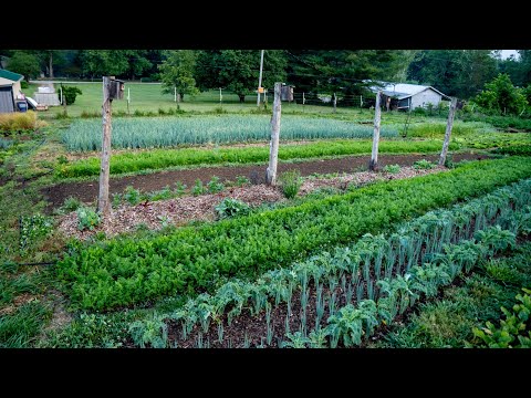 Living Pathways: A Complete Growers Guide