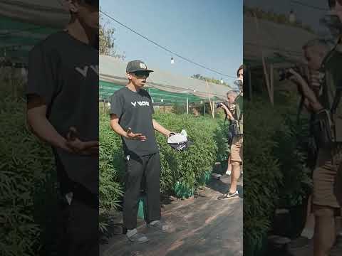 Father, I don't want to learn, I want to GROW!