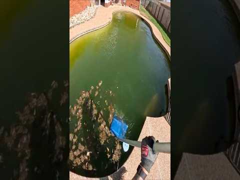 POV Green to clean near Dallas Tx FULL VIDEO ON MY CHANNEL