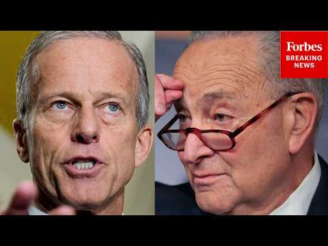 'They Want To Have Their Cake & Eat It Too!': Thune Torches Dems Over SAVE America Act, DHS Funding