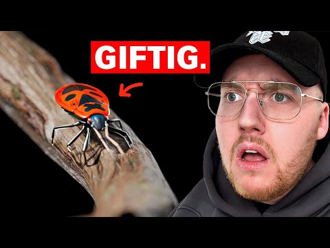 Die mutierten Tiere von Tschernobyl (Simplicissimus) | Zarbex Reaktion