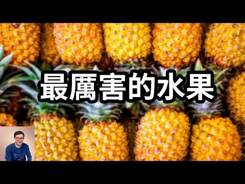 鳳梨這麼厲害嗎?肉里藏針,還分解你的細胞!它和菠蘿到底有何不同?克隆大師的瘋狂真相!【老肉雜談】#植物 #水果 #鳳梨 #菠蘿 #生物