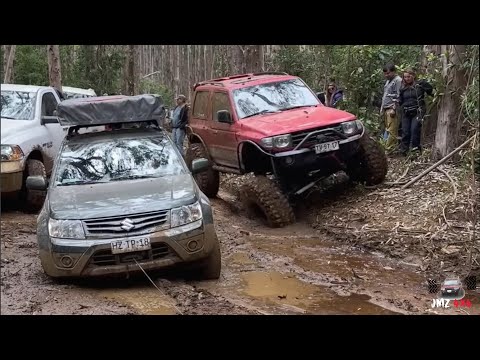 TRAVESIA 4X4 SELVA VALDIVIANA, CHILE