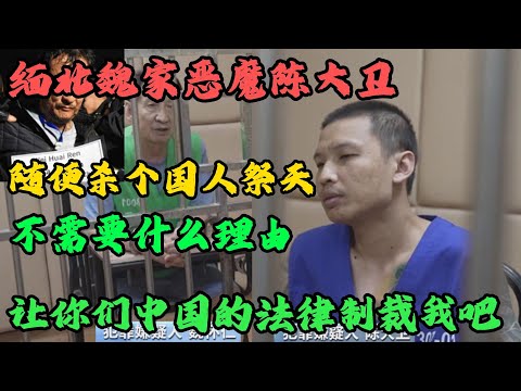 相比明珍珍，魏家的陳大衛狠過一百倍！他是緬北魏家指定的接班人，魏懷仁殘暴，他的侄兒更狠，面對審訊滿臉不屑：「讓你們中國的法律製裁我吧！」#X調查#wayne調查