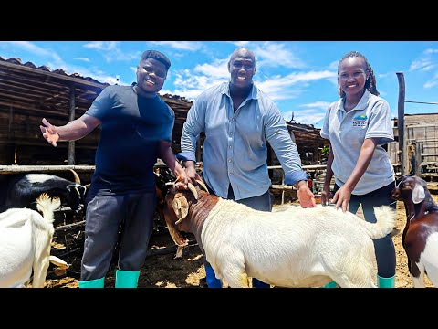 How An African American & Ugandan Lady Built A Profitable Animal Farm!