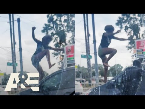 Road Wars: Wildest Florida Moments Caught on Camera | A&E