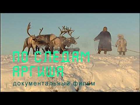 Nature of Russia. Siberia. Peninsula Taimyr. Yenisei Nenets. Big argish.