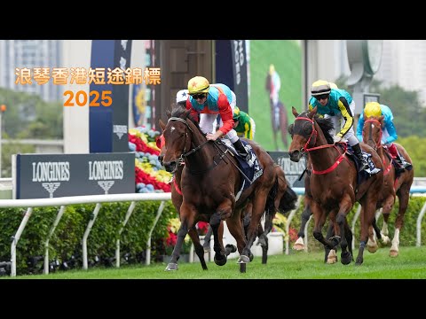 2025《浪琴香港短途錦標》- 嘉應高昇  #香港 #賽馬 #潘頓 #大衛希斯 #浪琴短途錦標 #香港國際賽 #kayingrising