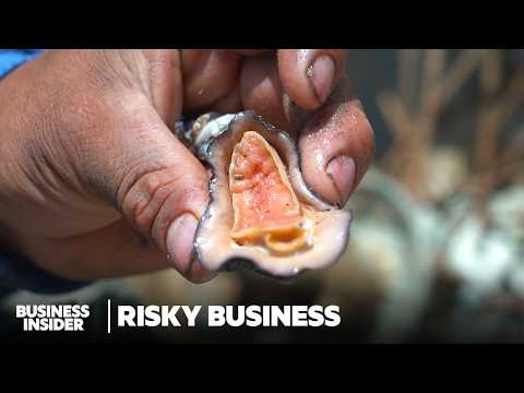 Risking Death For A Special Ceviche In Peru | Risky Business | Business Insider