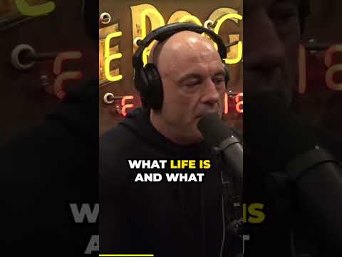 Joe Rogan shares his experience with DMT