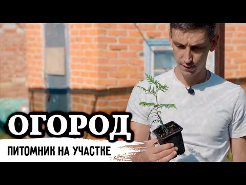 Питомник декоративных растений в огороде частного дома // 440 000 рублей за сезон у новичка