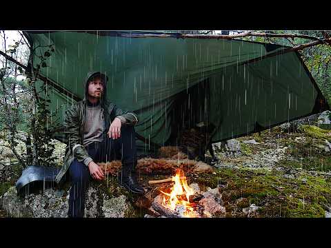 🌧️🌳Camping in RELAXING RAIN  (ASMR Rainy Forest)