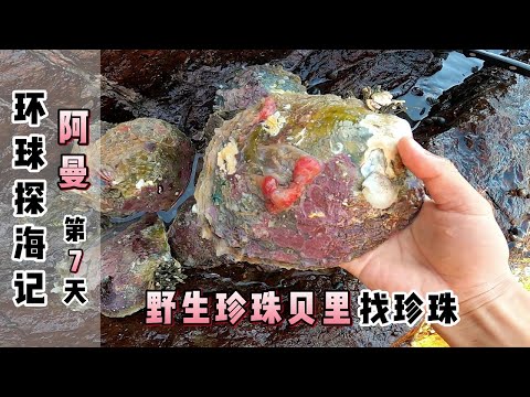 《环球探海记》阿曼~第7天：这么大的野生珍珠贝，真是难得一遇！