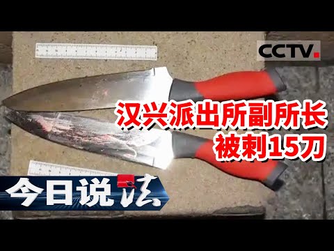 《今日说法》武汉汉兴派出所副所长邱建军与歹徒搏斗 身中15刀牺牲!20250403 | CCTV今日说法官方频道