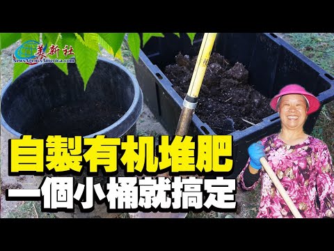 Organic compost DIY with just a small bucket, SO EASY.