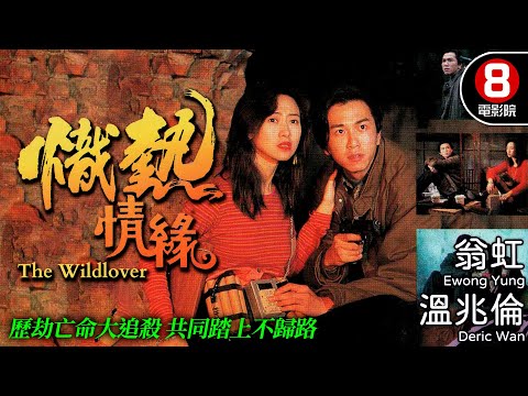 熾熱情緣 (The Wildlover)｜溫兆倫｜翁虹｜王偉｜黎宣｜魯振順｜李兆基｜粵語中字｜電視電影｜8號電影院 HK Movie