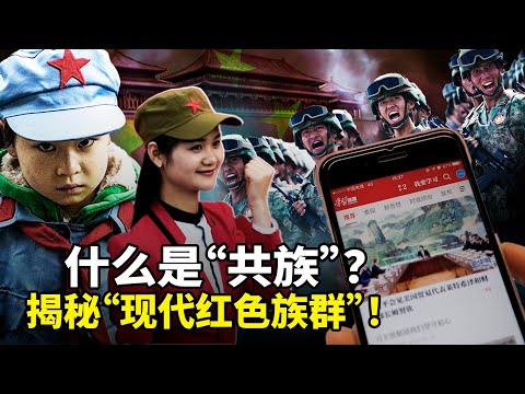 中国一亿信仰共产主义的人群，会不会像民族一样，形成一个新的“族群”？共族惊人真相曝光：无地域无血缘，却靠入党誓词、学习强国、特供医疗形成红色族群！