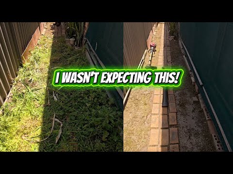 They Asked for Help… What I Found Was Unreal | Massive Backyard Rescue