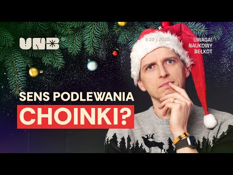 A Deadly Dose of Poppy Seed Cake and Other Christmas Questions