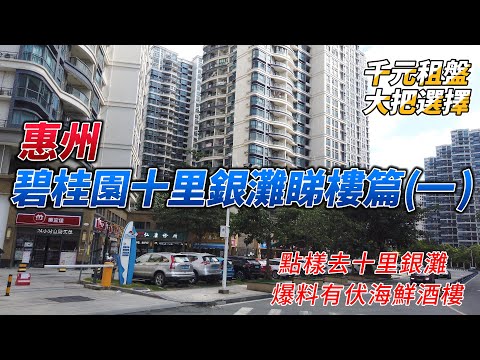 惠州碧桂園十里銀灘睇樓篇(一) | 睇四個千元租盤 | 羅湖點樣過去 | 有伏海鮮酒樓 |
