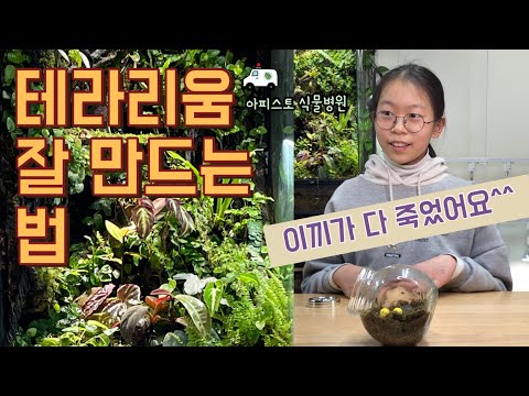 How to Make a Terrarium: I'll Explain Everything from A to Z