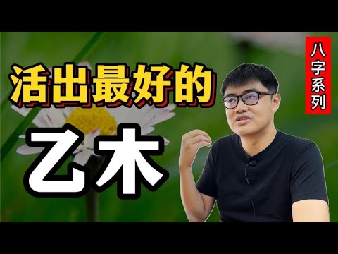 突破生活困境的3个方法——乙木 | 八字·升级日主系列