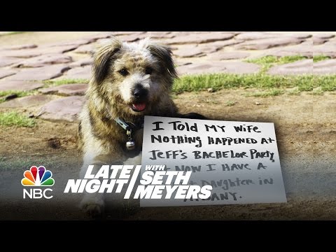 Extreme Dog-Shaming: Selling Drugs, Starting Fires