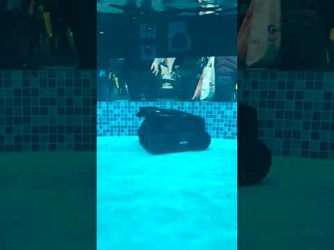 If You Own a Pool, Watch This