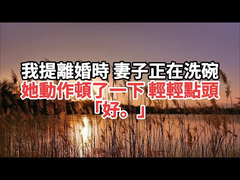我提離婚時 妻子正在洗碗 她動作頓了一下 輕輕點頭 好#一口气看完 #故事 #小说