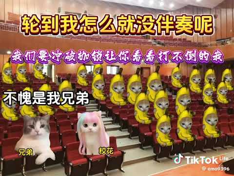 #貓meme #苟活之重生