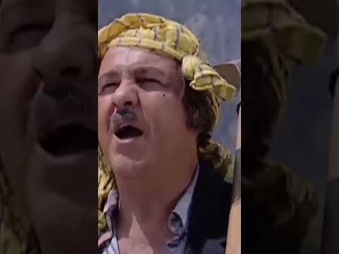 قبلوه بالجامعة بدون بكالوريا ! ضيعة ضايعة