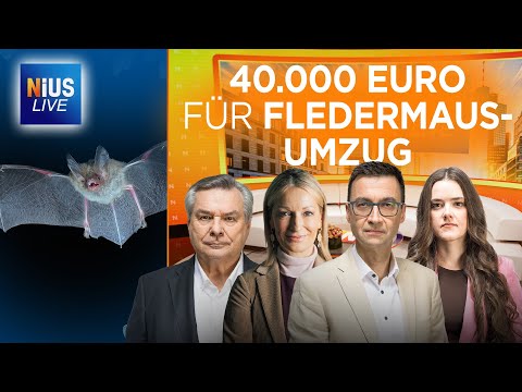 🚨Monika Gruber bei NIUS Live: Steuerverschwendung und Islamisierung! NIUS Live am 1. Oktober 2025