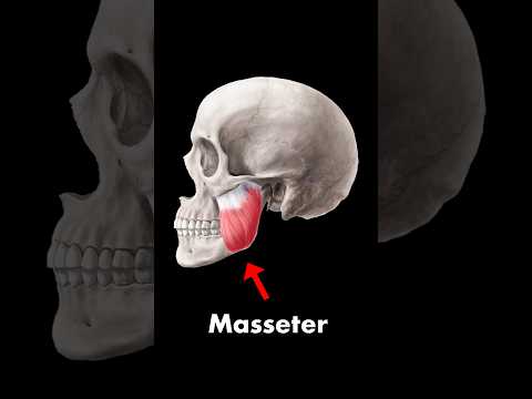 Check your jaw. Seriously.
