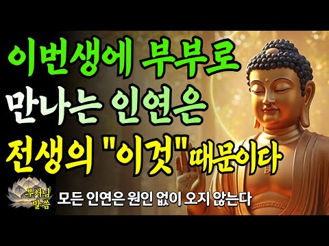 부부는 어떤 인연으로 만날까? / 전생의 인연이 모든 걸 설명합니다/ 부처님말씀 / 오디오북
