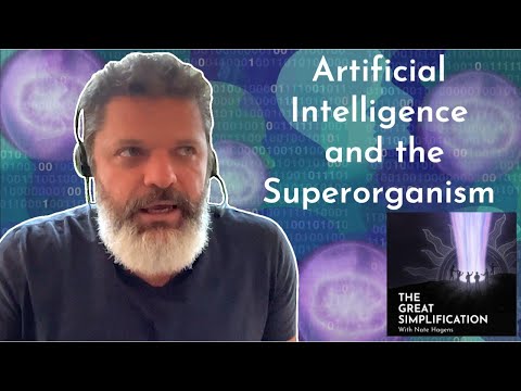 Daniel Schmachtenberger: "Artificial Intelligence and The Superorganism" | The Great Simplification