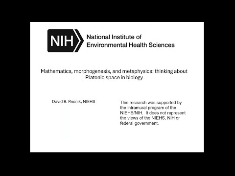 "Mathematics, morphogenesis, and metaphysics" by David Resnik