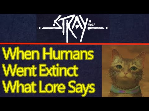 When did Humans go extinct in stray? Billions of years? Here's what the lore says