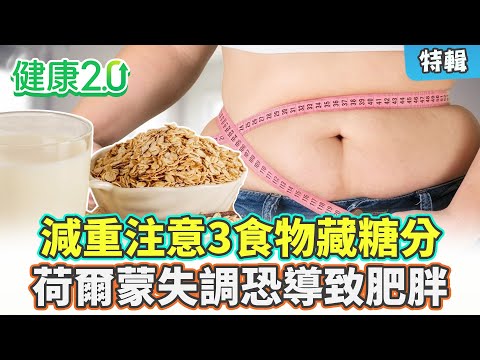 【特輯】減重要小心！燕麥奶、杏仁豆腐、加工食品藏糖分！醫師分享瘦身菜單！荷爾蒙失調恐導致肥胖！｜健康2.0 #鄭凱云 #陳欣湄 #韋汝 #游能俊醫師 #魏士航 醫師  #陳君琳 減重醫師