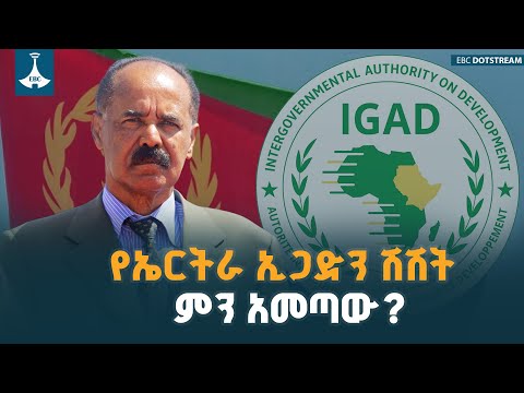 የኤርትራ መንግሥት ከኢጋድ ለምን ይሸሻል? |Eritrea | IGAD | ETV | EBC | EBCDOTSTREAM
