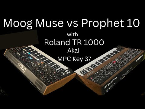 Moog Muse vs Prophet 10 feat Dobbie with ROLAND TR 1000 Akai MPC
