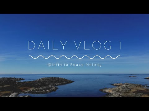 Vlog 1: Hold a party for my friends