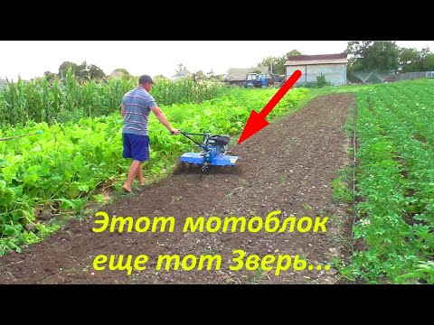 ТЕСТ фрезы мотоблока Кентавр!