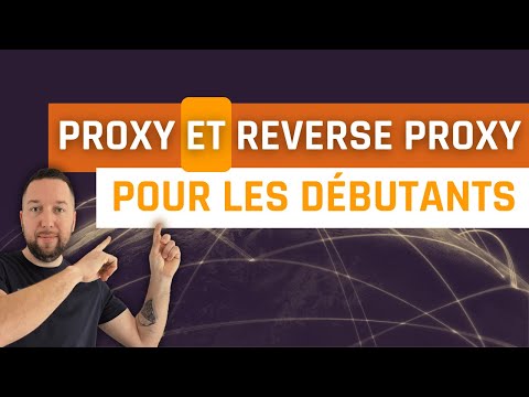 Proxy and Reverse Proxy for Beginners