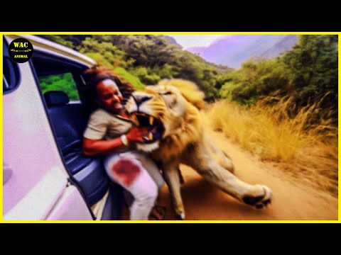 When Animals Go On A Rampage And Got Caught On Camera ! #12