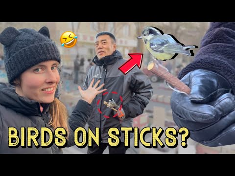 THE INNER MONGOLIA EXPERIENCE 🐑 Exploring China's Northwest Frontier 内蒙冬天一日游,看看我能挖出多少好玩的东西来!