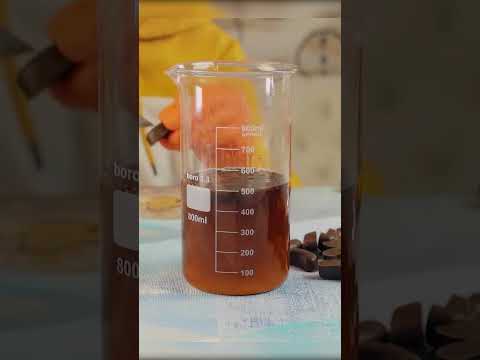 COUNTING TO DRUNKENNESS - LIQUOR CHOCOLATES EXPERIMENT